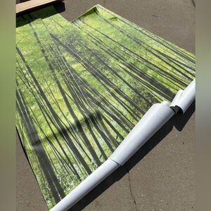 Bamboo Forest Wallpaper